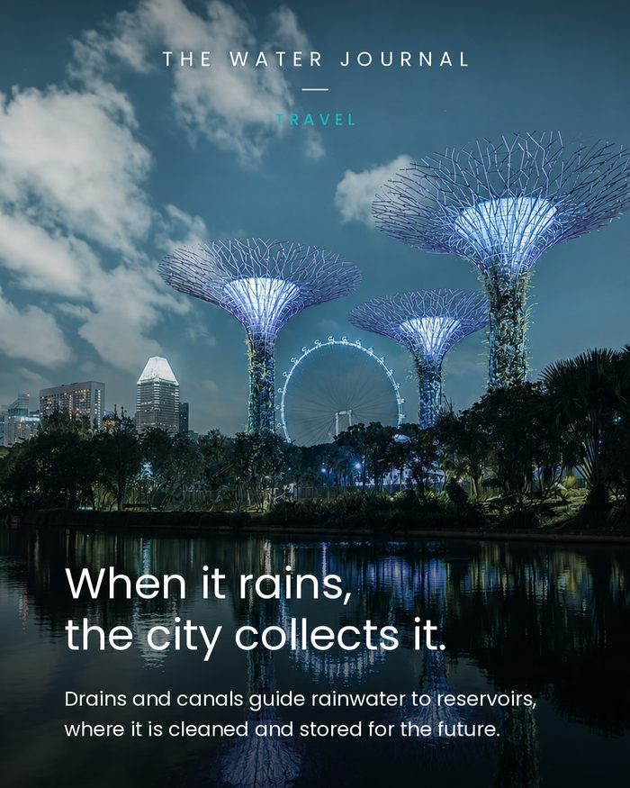 Gardens by the Bay sits inside the Marina catchment. Its lake system is designed as an extension of Marina Reservoir: runoff in, aquatic plants as filter, water out.