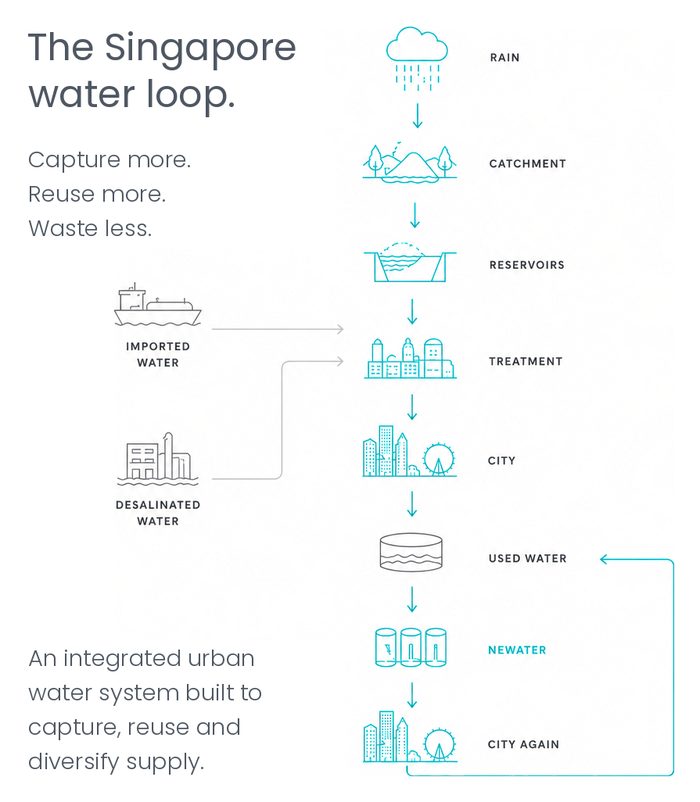 PUB calls it Singapore's water loop. It is an integrated system rather than a physically closed one: rainfall, imported water and seawater all enter it, and not every drop returns. Structure after PUB, Singapore.