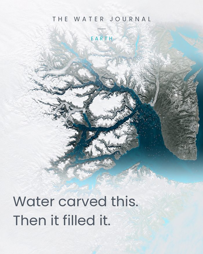 Satellite view of a branching fjord system in East Greenland, white ice against dark water